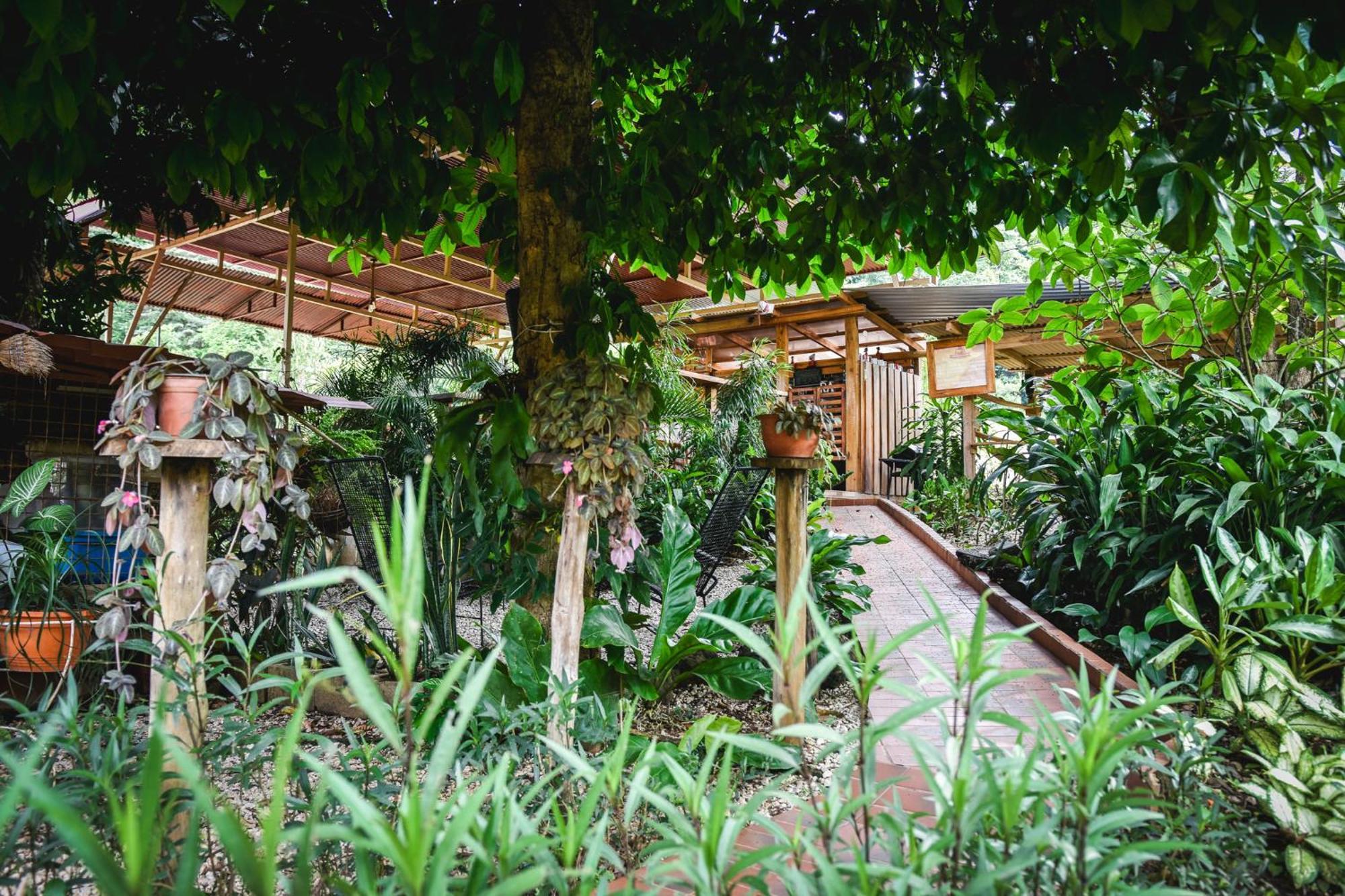 Casa Cora Bed And Breakfast Carmona Exterior photo